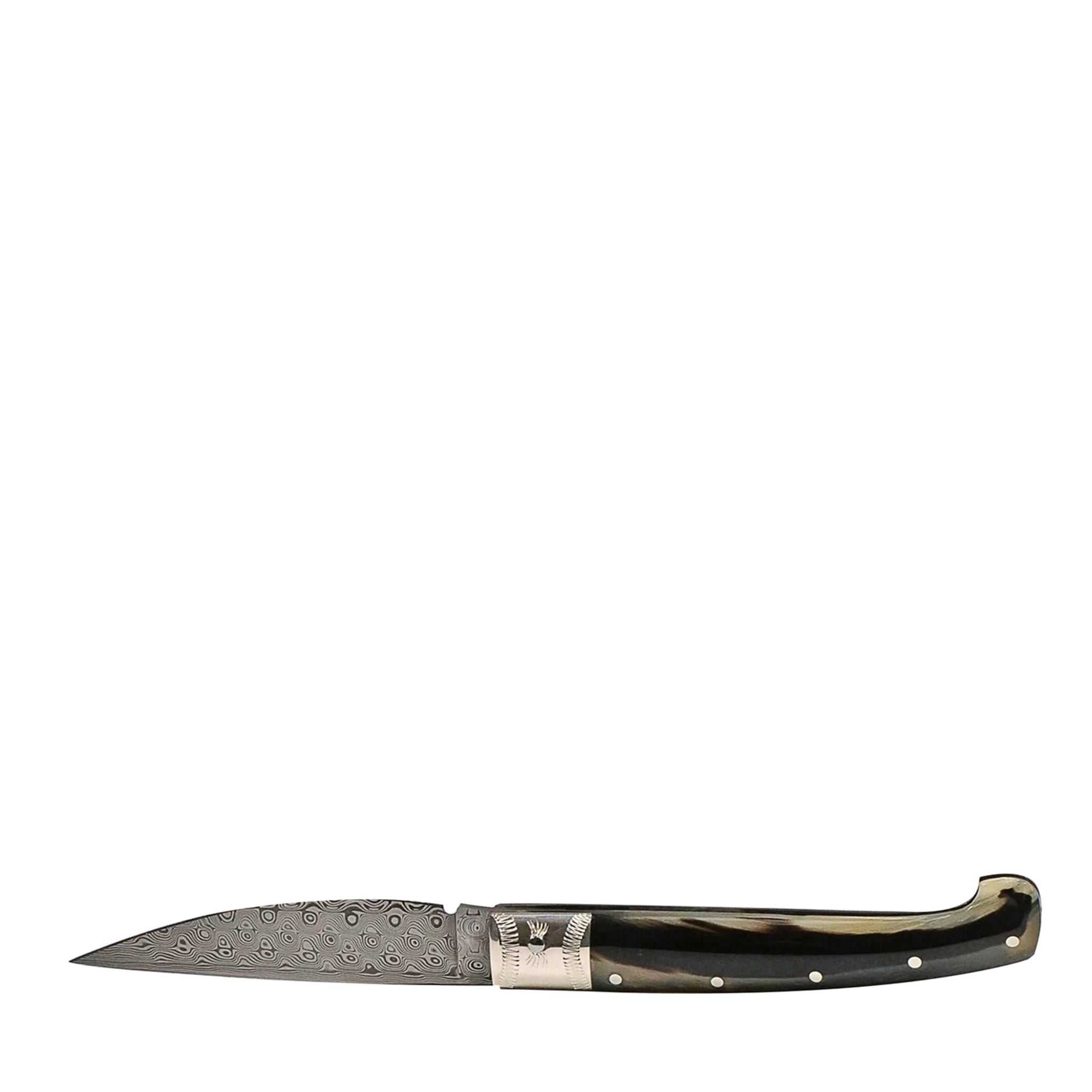 Resolza Black Pocketknife - Main view