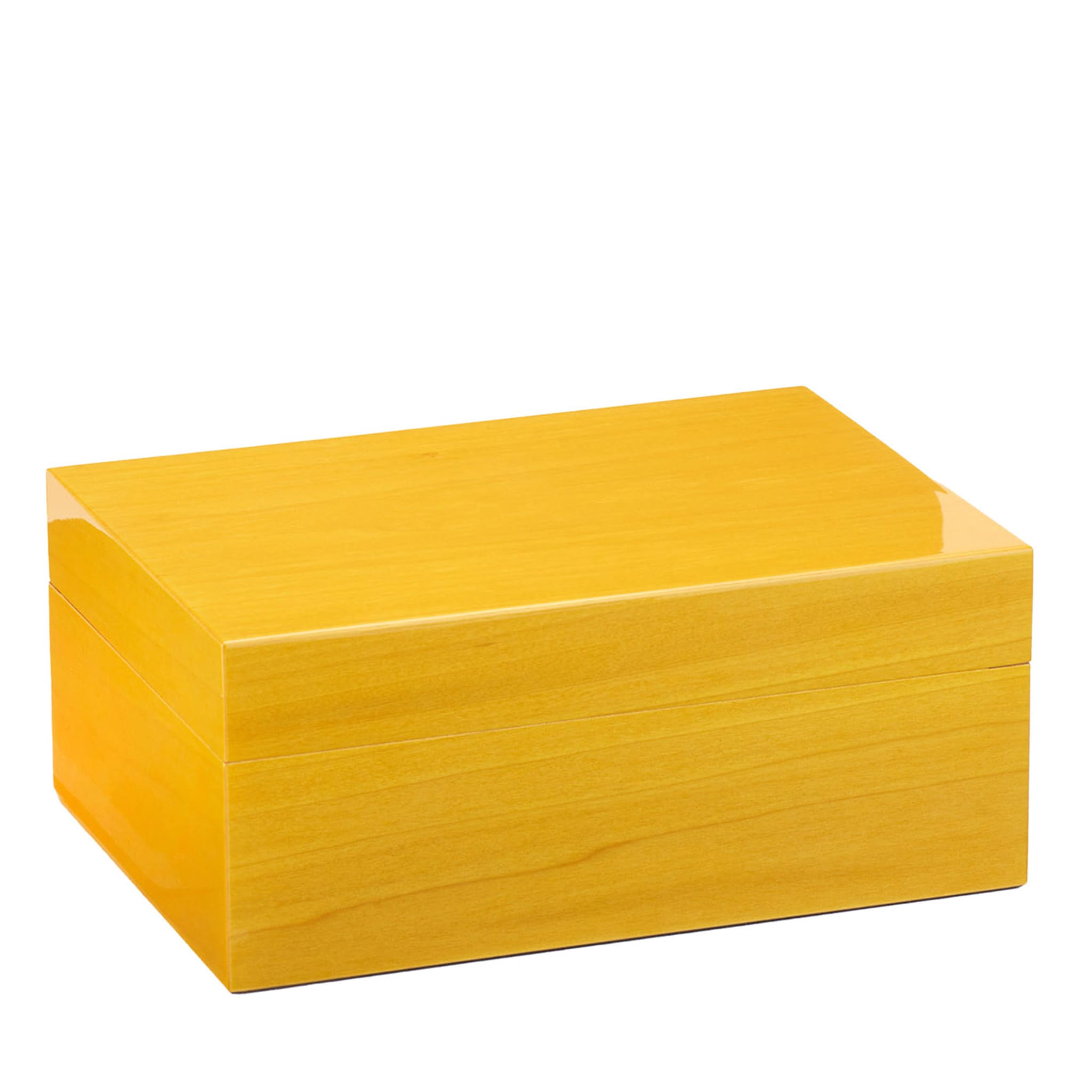 Roma Large Yellow Cigar Box - Vue principale
