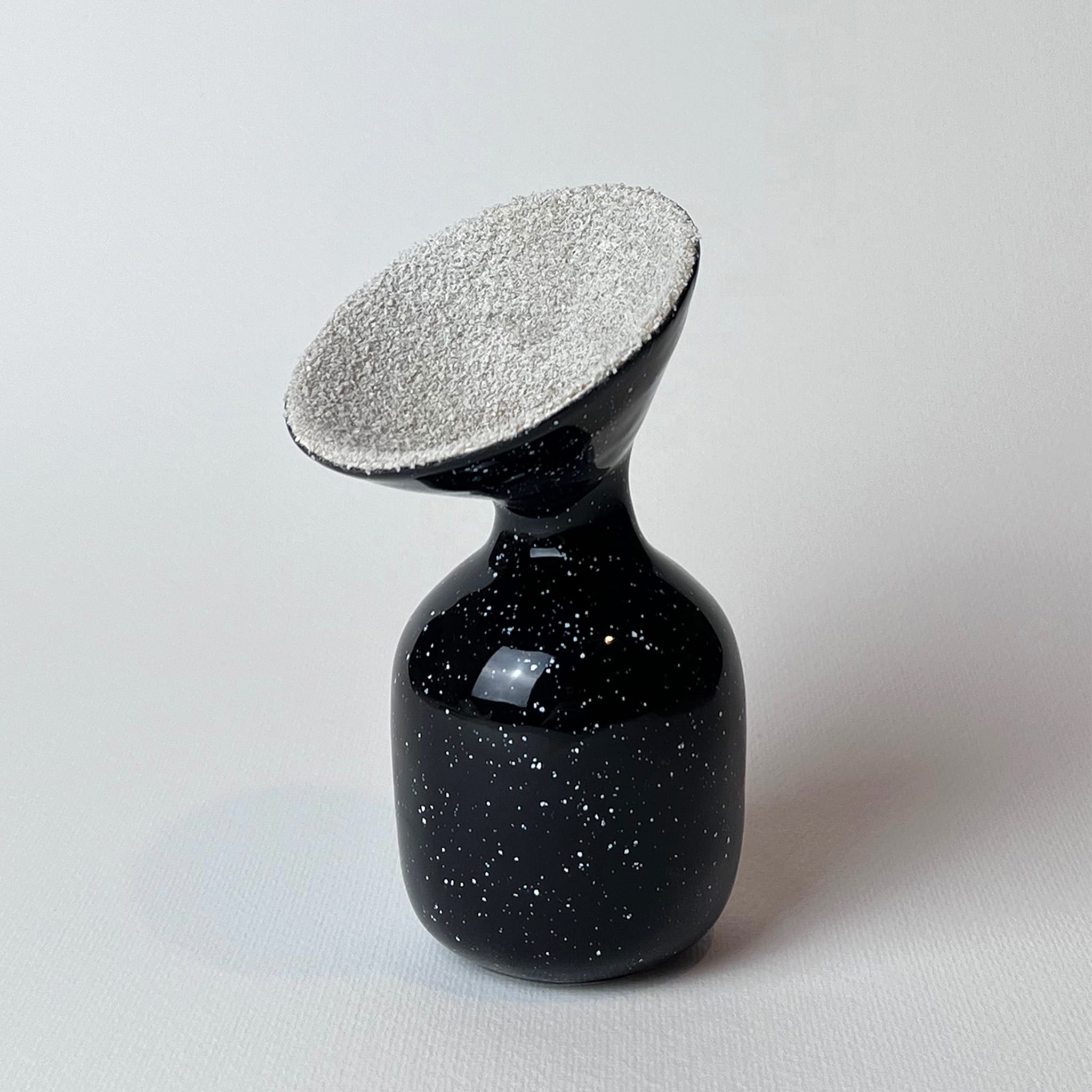 Extravases Black Vase - Alternative view 1