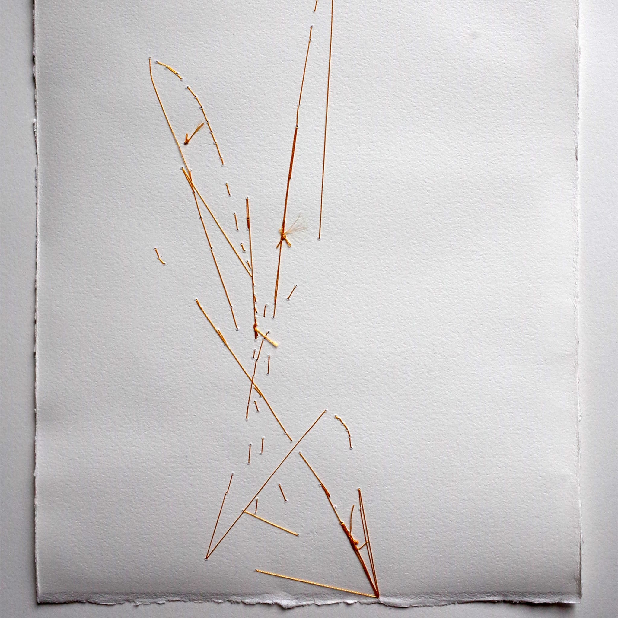 Fiori N.1 Painting on Paper - Alternative view 2