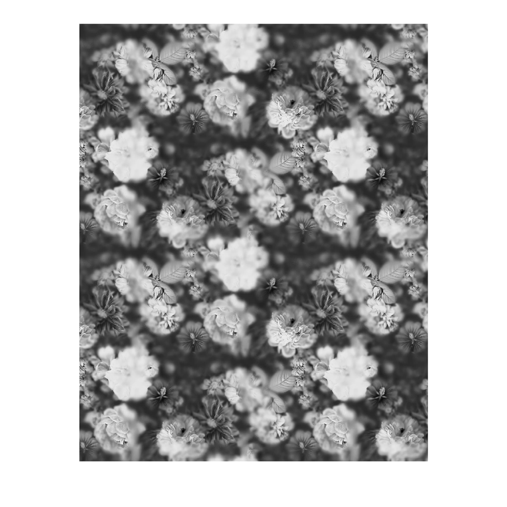 Blossom Black & White Carta da parati - Vista principale