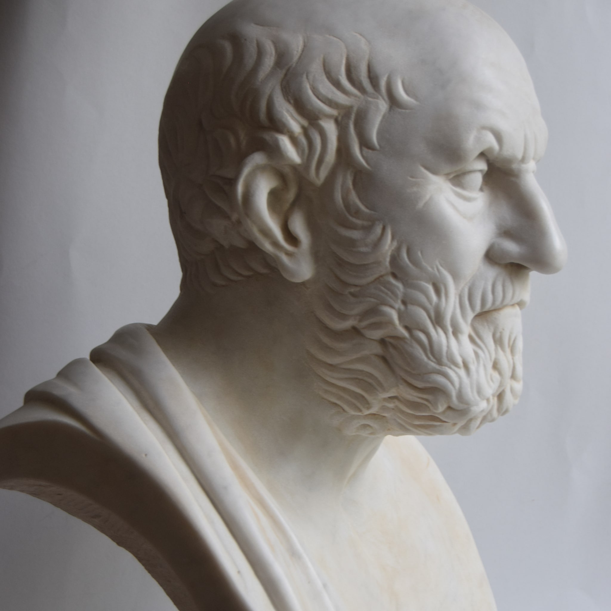 Hippocrates White Carrara Bust - Alternative view 1