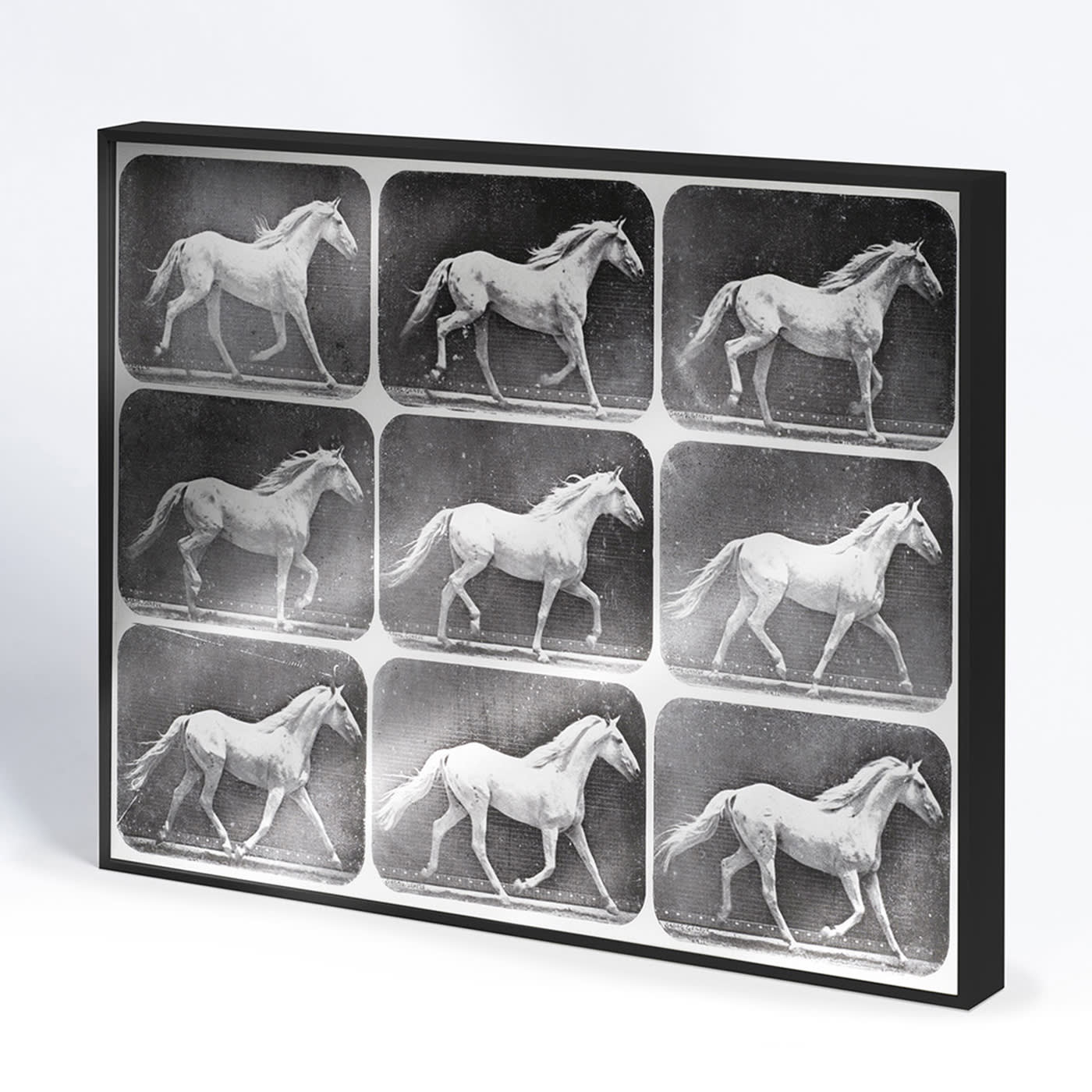 The Trot Horizontal Allurex Silver® Decorative Panel - NC Design